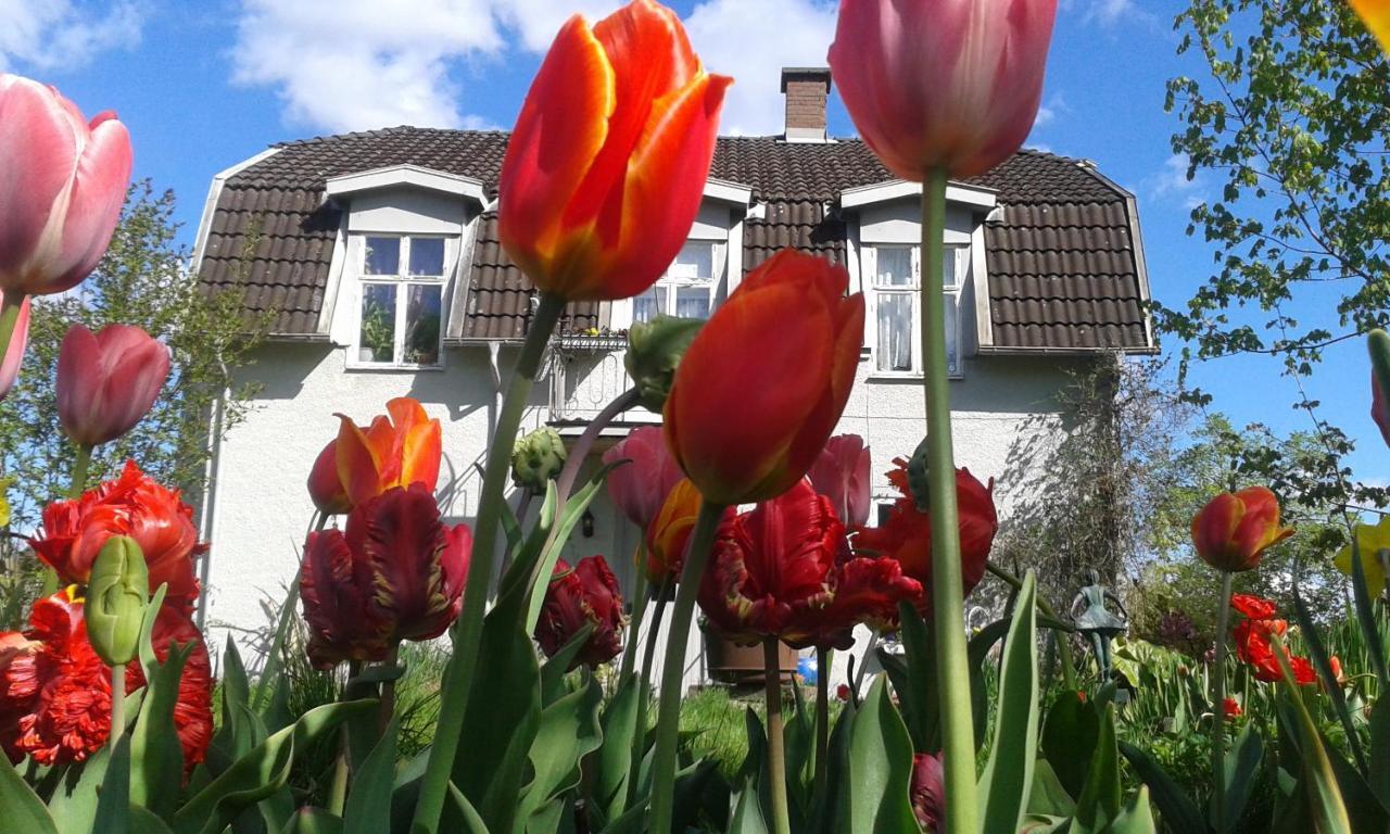 Wonderful Home Bodafors エクステリア 写真